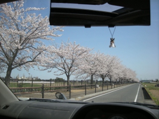 f0081100_9395385.jpg