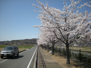 f0081100_939654.jpg