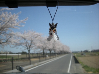f0081100_940627.jpg