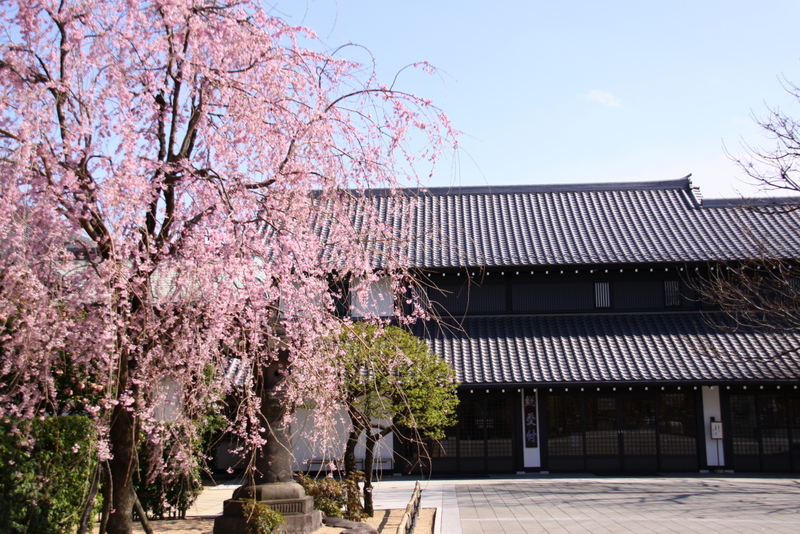d0248502_7401730.jpg