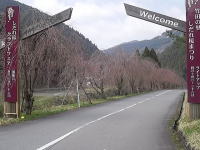 e0107304_222542.jpg