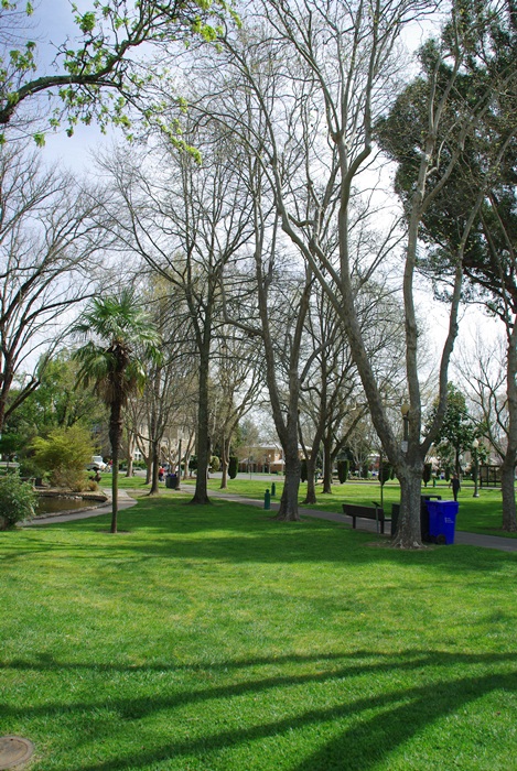 f0038904_17204513.jpg