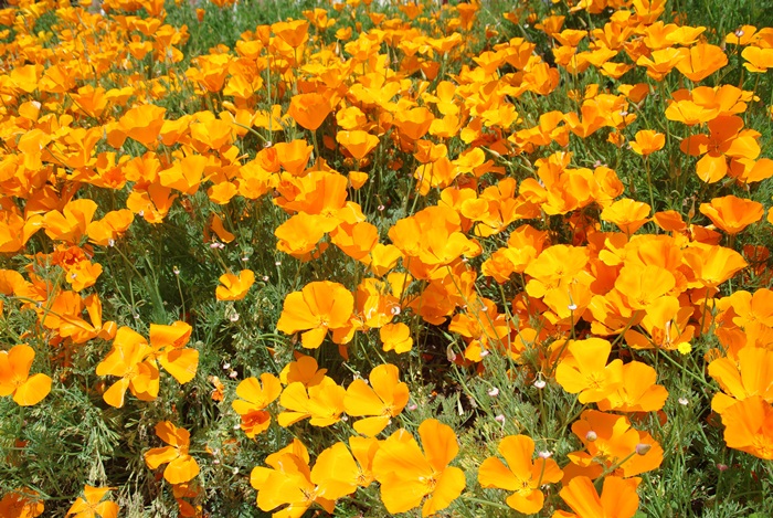 f0038904_17225414.jpg