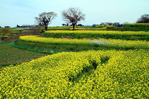 b0014607_19113151.jpg