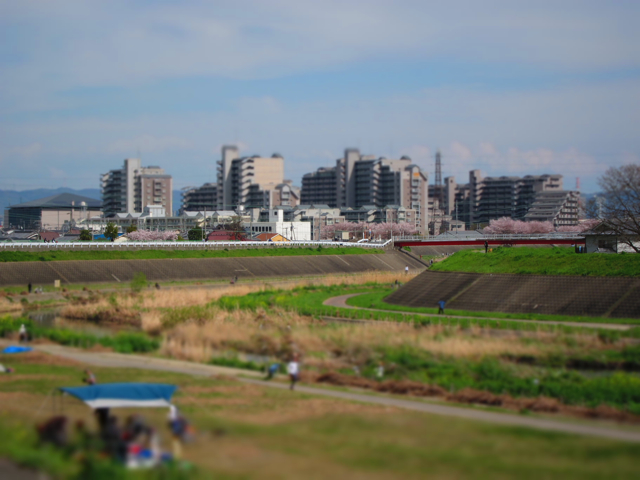 a0129311_2241488.jpg
