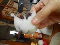 c0229312_748182.jpg