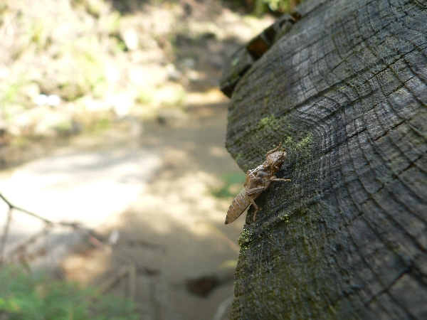e0002314_21425756.jpg