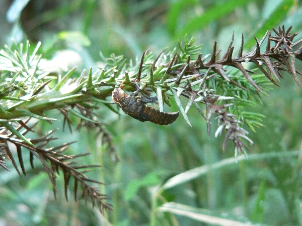 e0002314_21431315.jpg