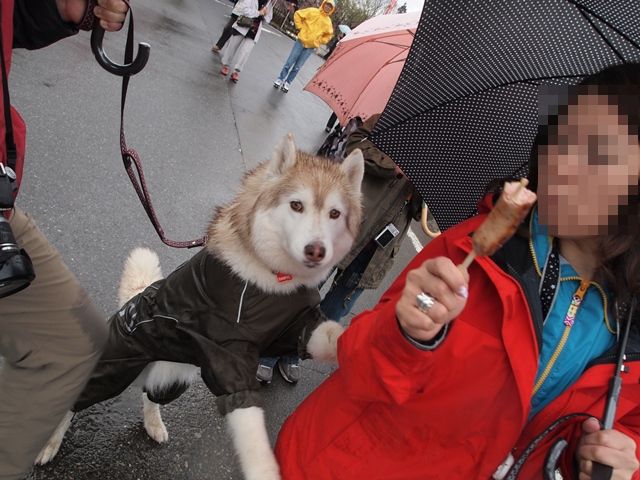 b0207615_23175648.jpg