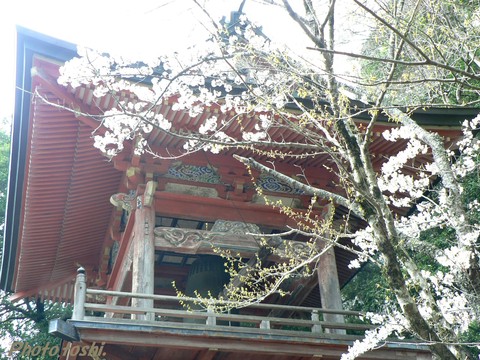 b0223617_22293077.jpg