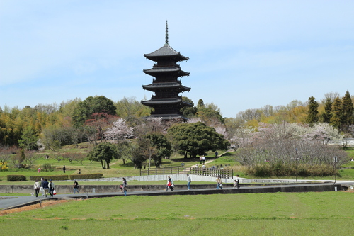 b0197418_203526.jpg