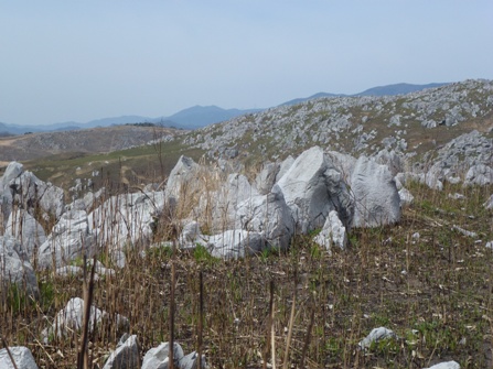 c0042418_18354590.jpg
