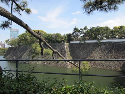 f0154218_22525339.jpg