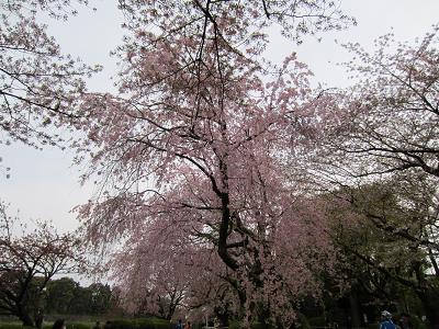 f0154218_22531527.jpg