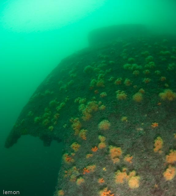 f0221418_12452915.jpg