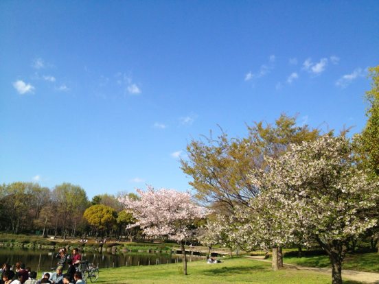 b0024020_2245847.jpg