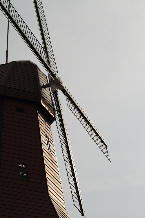 b0249720_11143182.jpg