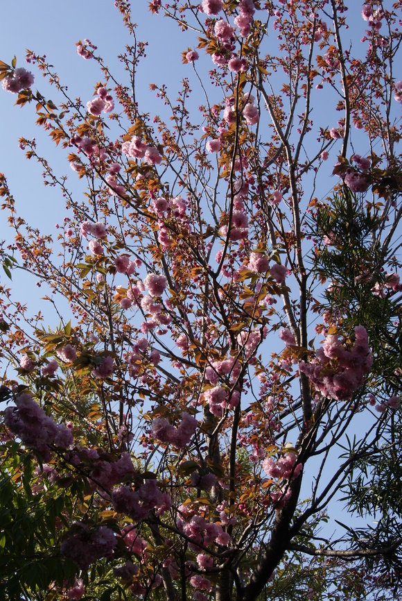 c0020320_20111430.jpg