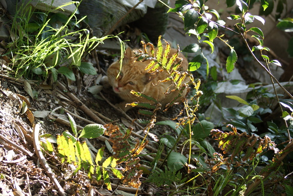 c0020320_20131566.jpg