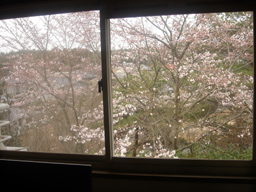 e0083820_95676.jpg
