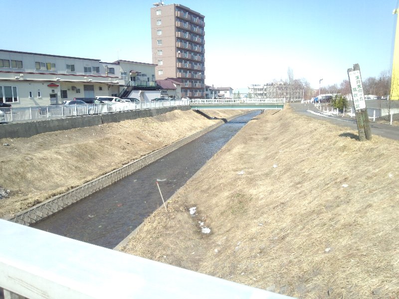 b0128821_83753.jpg