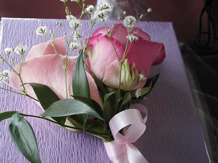 b0173222_209891.jpg