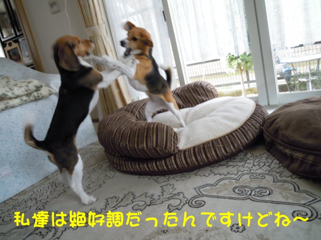 c0166622_20125146.jpg