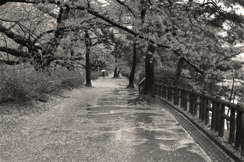 e0205625_15353847.gif
