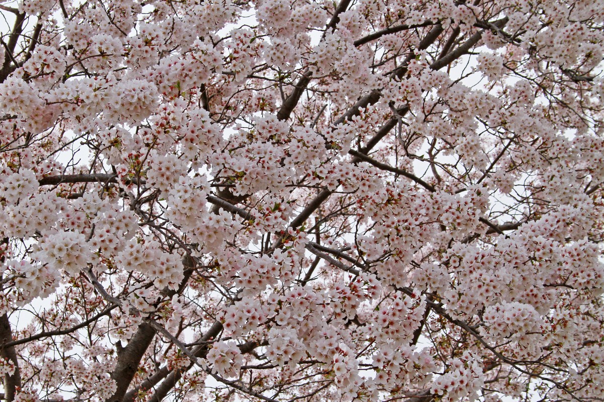c0104227_1454246.jpg