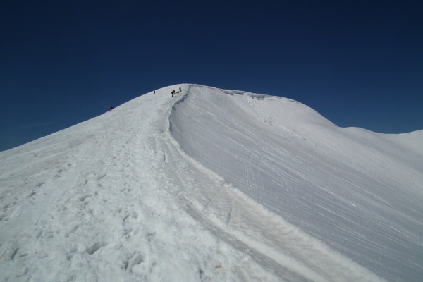 f0118332_2228784.jpg
