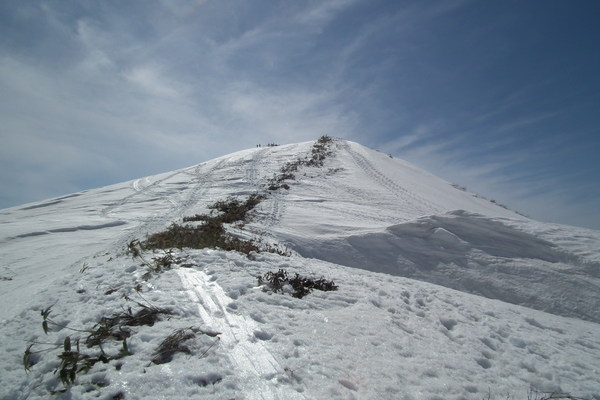 f0118332_22364838.jpg