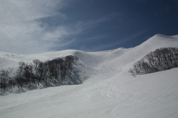 f0118332_22385344.jpg