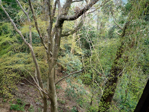 d0037233_15225580.jpg