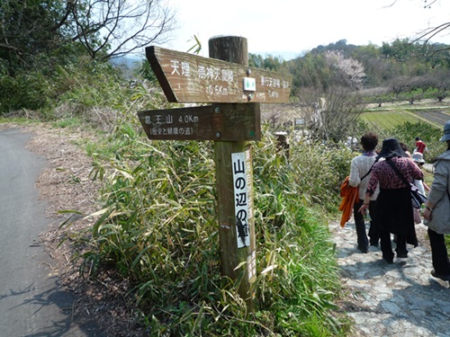 d0037233_927349.jpg