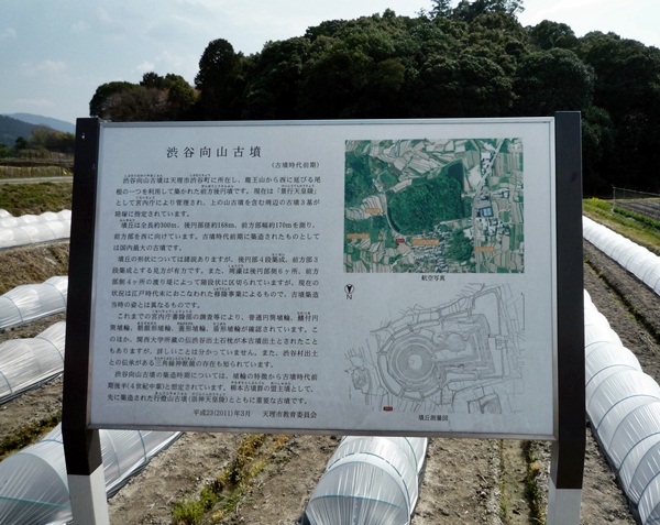 d0037233_9305615.jpg