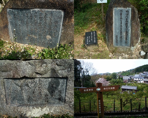 d0037233_9442334.jpg