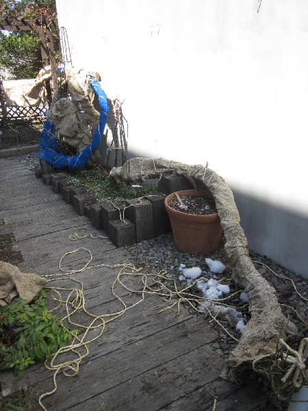 c0234938_018079.jpg