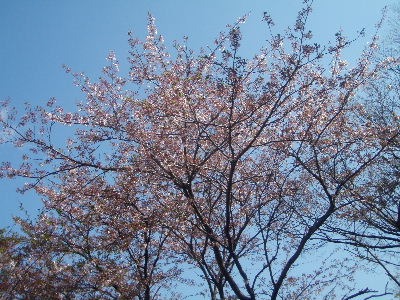 a0054240_22371881.jpg