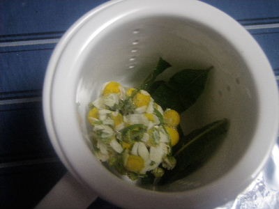 a0054240_2332656.jpg
