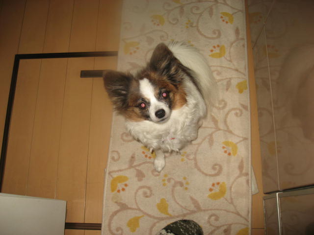 a0149240_2120335.jpg