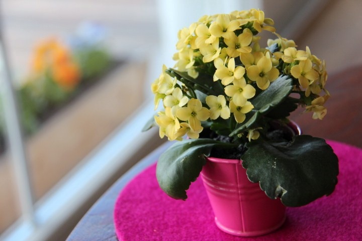 c0153740_15304521.jpg