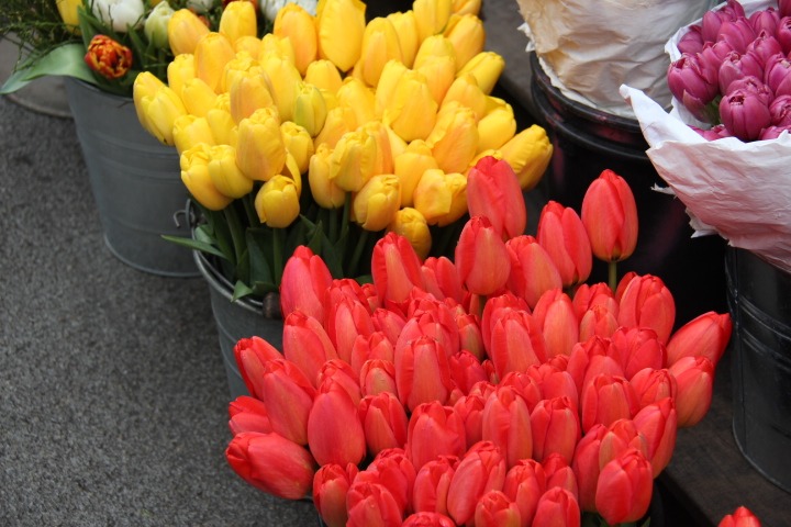 c0153740_21253671.jpg