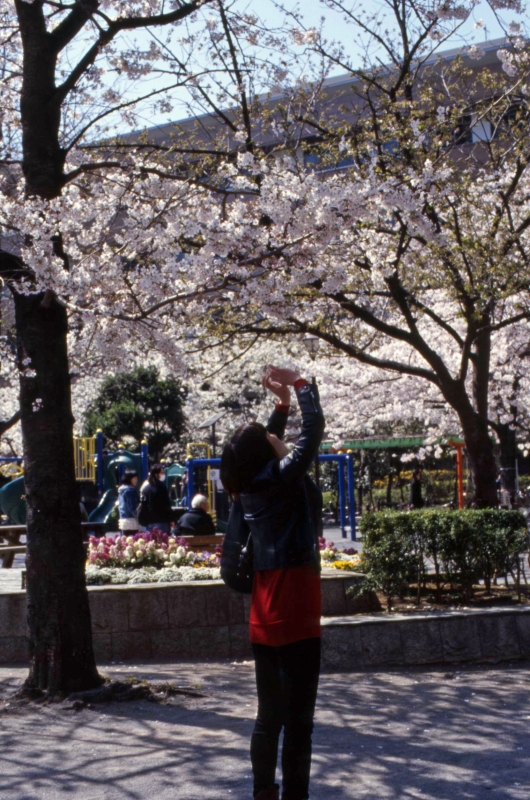f0119440_17412598.jpg
