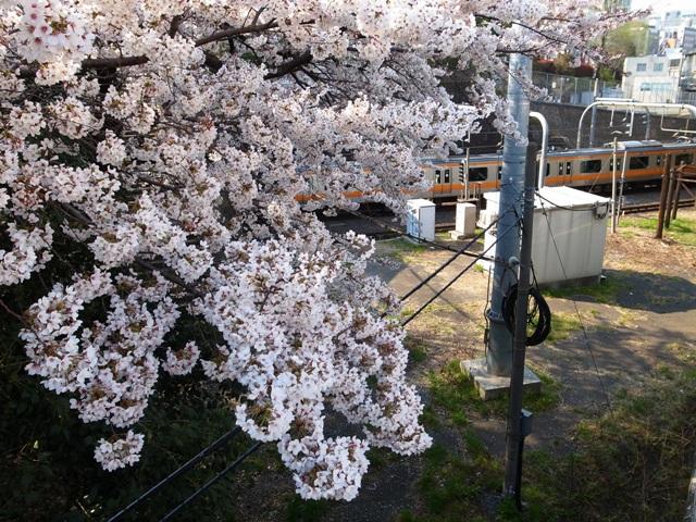 a0087341_21455013.jpg