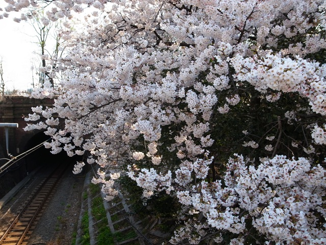 a0087341_21455799.jpg