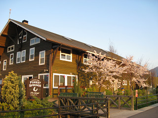 f0065341_17565995.jpg