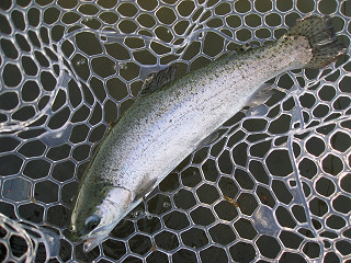 f0065341_17583735.jpg