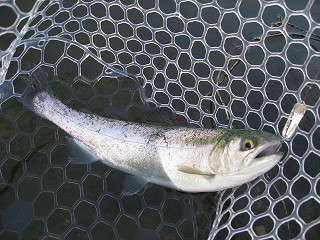 f0065341_1758957.jpg
