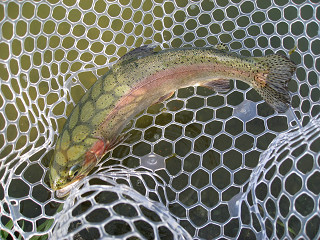 f0065341_17592742.jpg