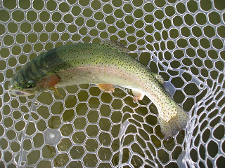 f0065341_18223100.jpg